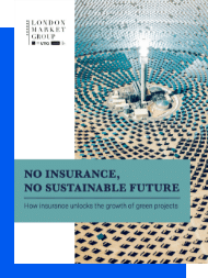 No insurance, no sustainable future